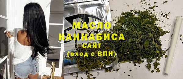молекула духа Верхний Тагил