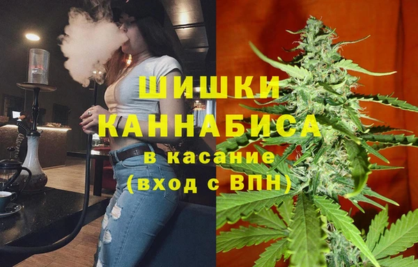 молекула духа Верхний Тагил