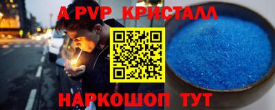 крисы Камышлов