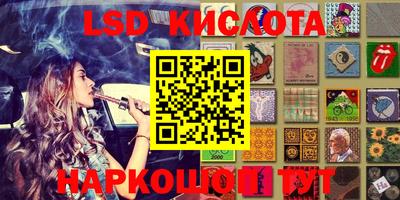 крисы Камышлов