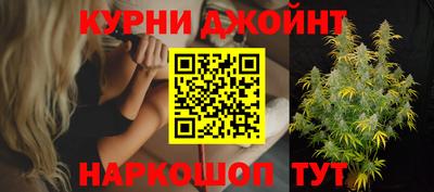 крисы Камышлов
