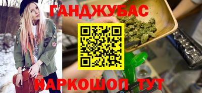 крисы Камышлов
