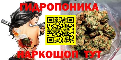 кокс Кандалакша