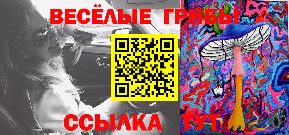 Псилоцибиновые грибы MAGIC MUSHROOMS Северобайкальск